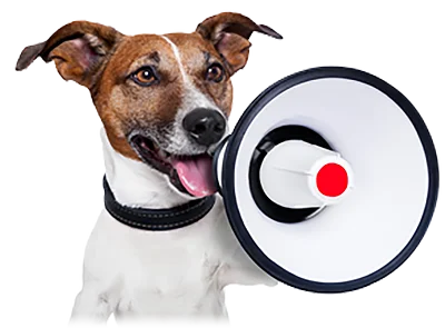 Dog Grooming Mornington Peninsula