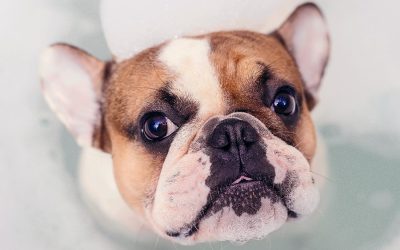 Ozone Spa Therapy: The Simple Science